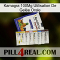 Kamagra 100Mg Utilisation De Gelée Orale 11